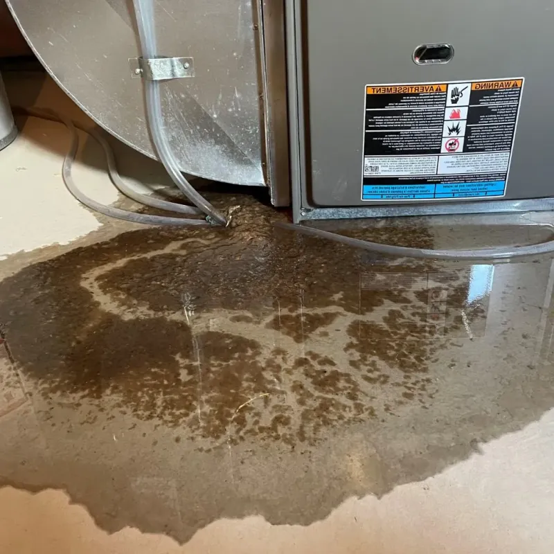 Pipe Burst and Leak Restoration in Buchanan, NY